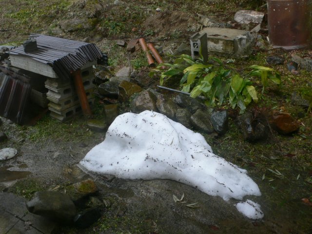 b0042882_119468.jpg