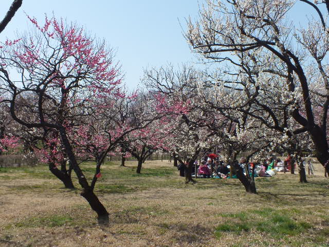 e0145782_1354243.jpg