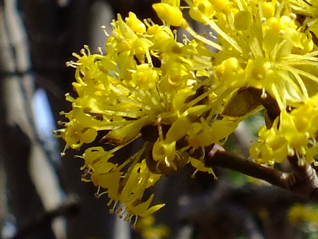 e0145782_13585378.jpg