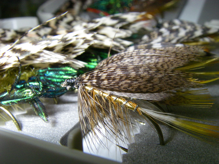 c0136486_15565912.jpg