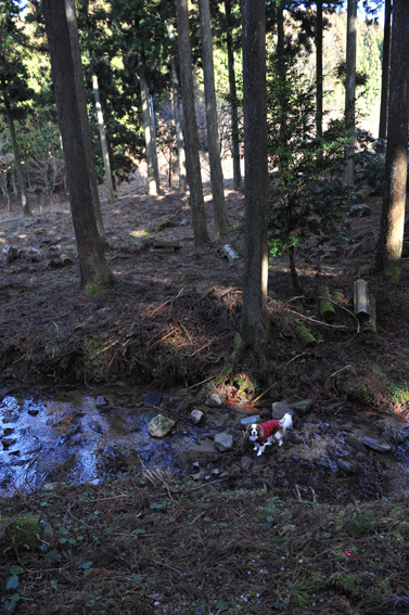 f0112087_1736635.jpg