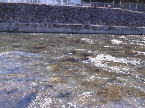 b0178889_13551126.jpg