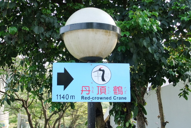 d0133791_14334737.jpg