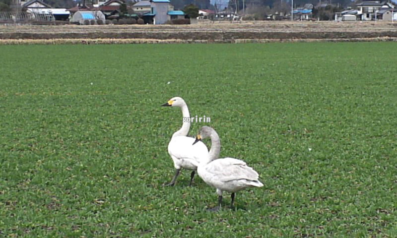 f0202291_9252544.jpg