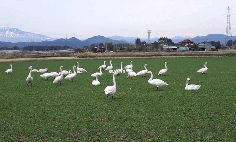 f0202291_9252554.jpg