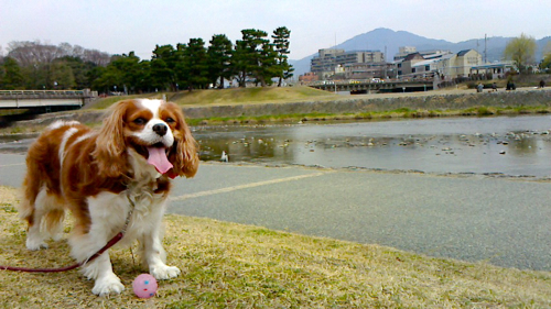 a0079292_1745323.jpg