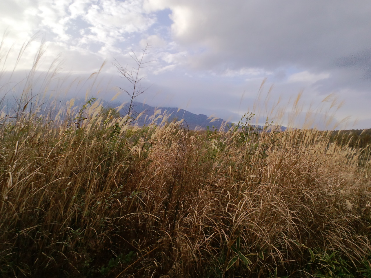 b0234697_17303571.jpg