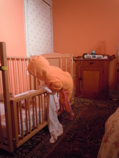 d0103098_11521197.jpg