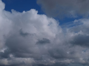 b0110999_475840.jpg