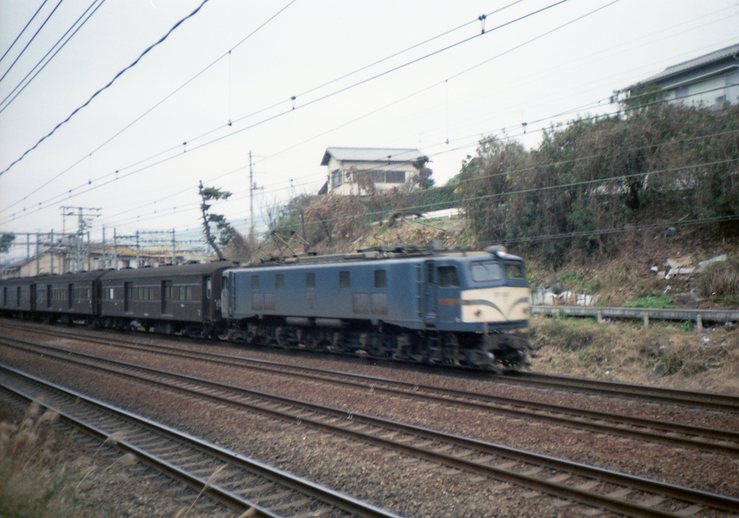 e0264203_914463.jpg