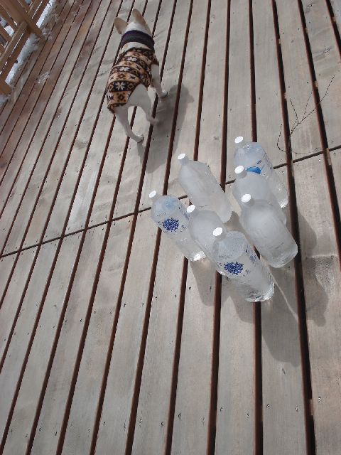 b0148106_838369.jpg