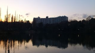 d0131207_20435271.jpg