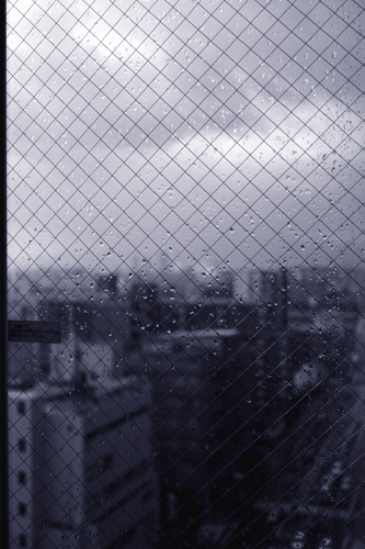 a0145825_16253223.jpg