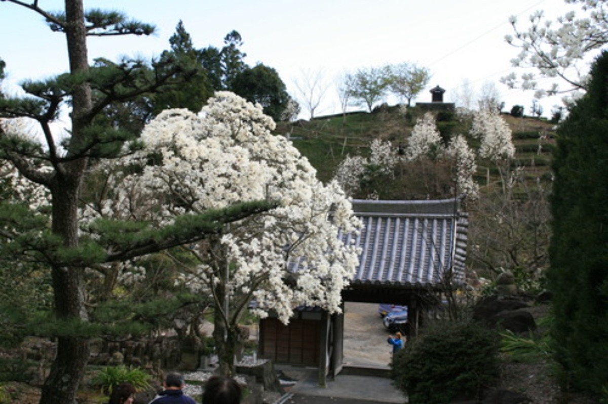 e0033229_18114125.jpg