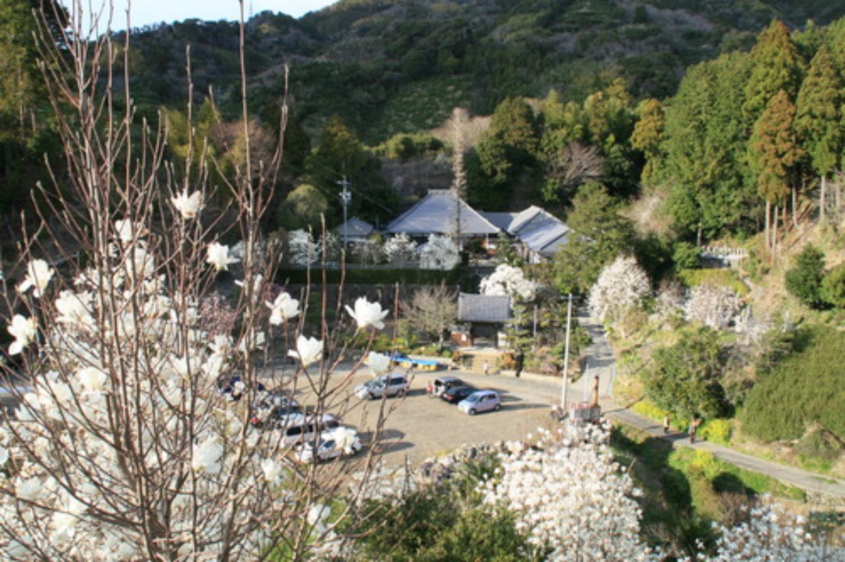 e0033229_1830160.jpg