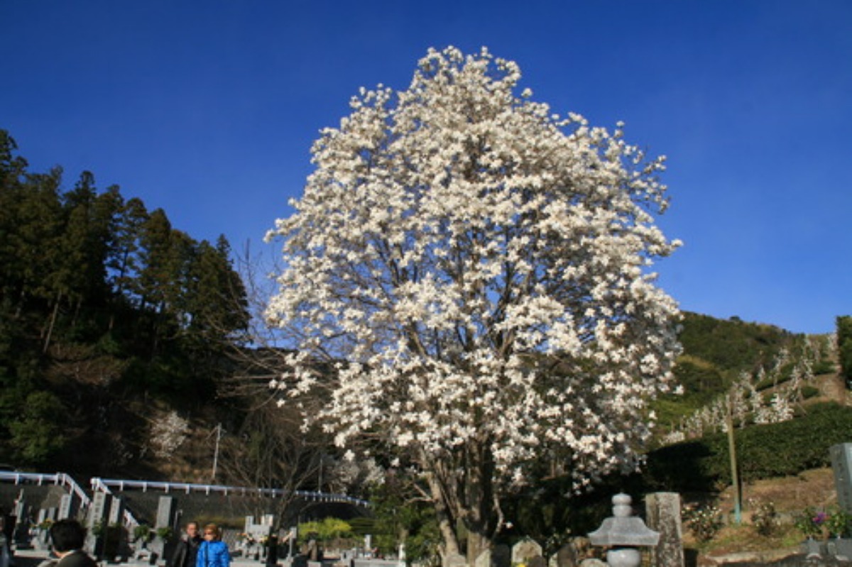 e0033229_18305957.jpg