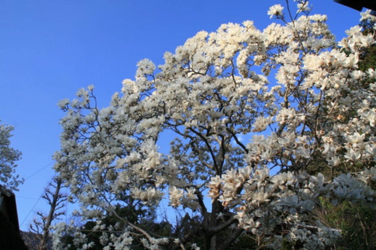e0033229_18442814.jpg