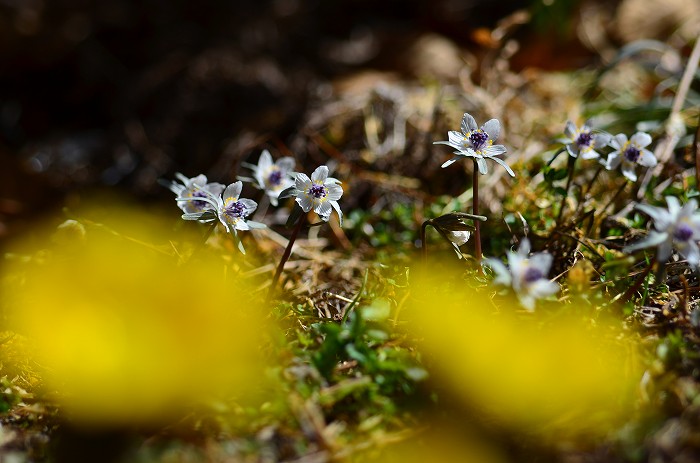 b0236334_17235759.jpg