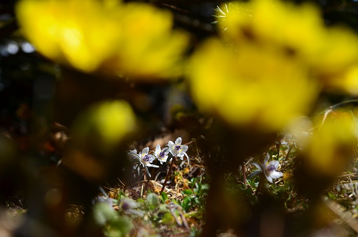 b0236334_1724681.jpg