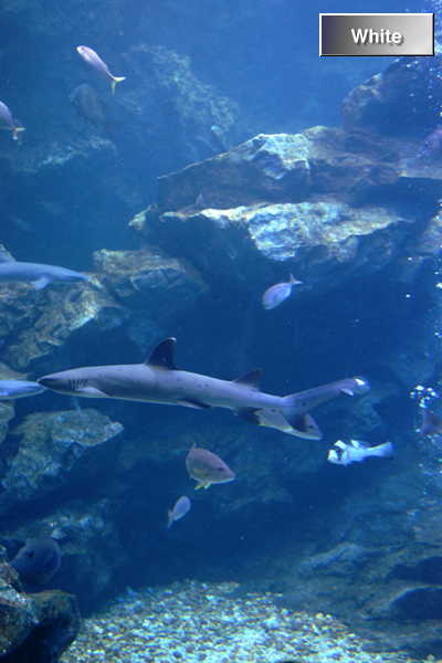 c0227134_054412.jpg