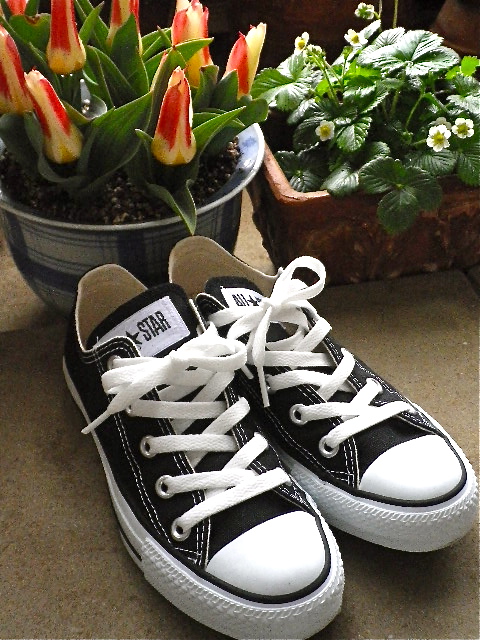 b0027736_1413734.jpg