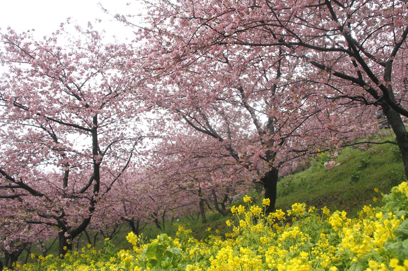 b0042837_6333989.jpg
