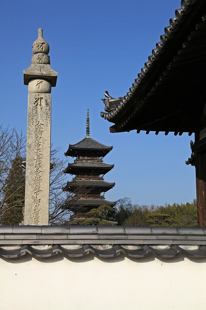 a0242438_190544.jpg