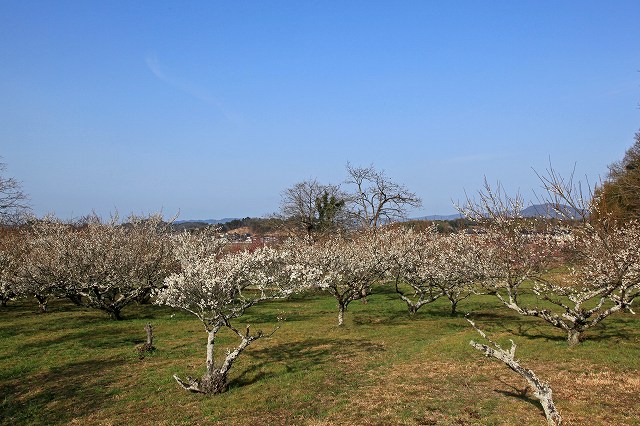 a0242438_1924799.jpg