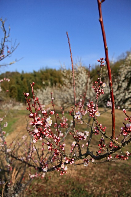 a0242438_1925267.jpg