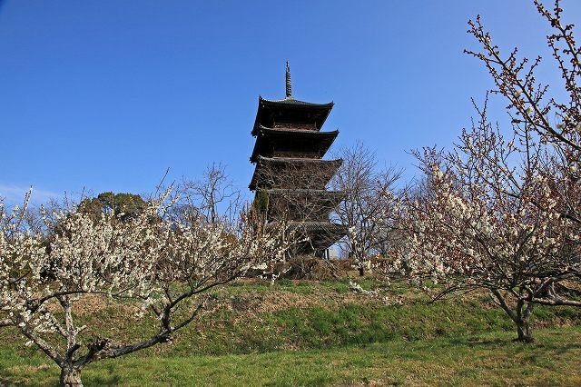 a0242438_1933286.jpg