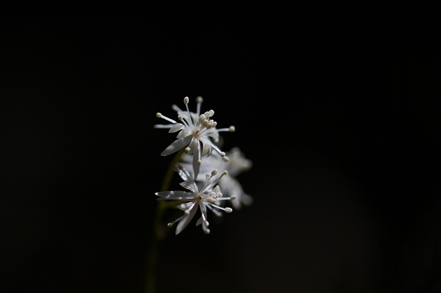 a0242438_21355026.jpg