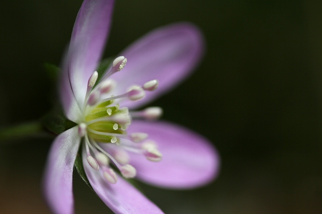 a0242438_21381490.jpg