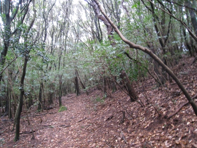 c0077338_21404880.jpg