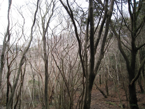 c0077338_214121.jpg