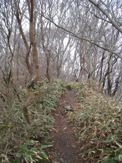 c0077338_21412810.jpg