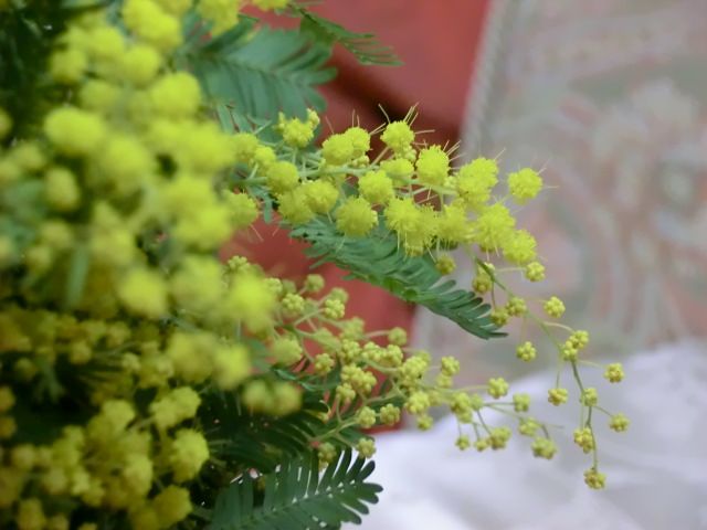 e0082045_1073143.jpg