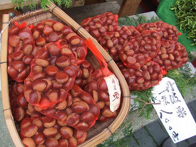 e0173645_1331129.jpg