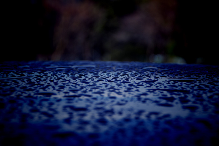 e0262946_1614649.jpg