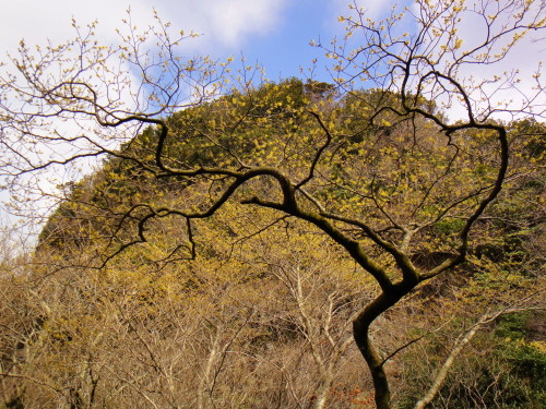 c0179351_20383799.jpg