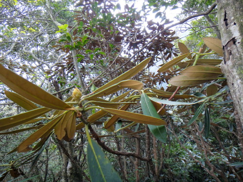 c0179351_20392725.jpg