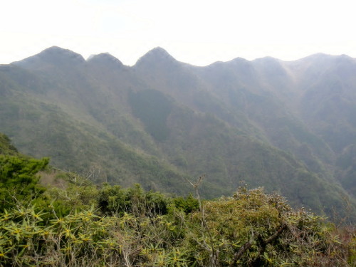 c0179351_2041840.jpg