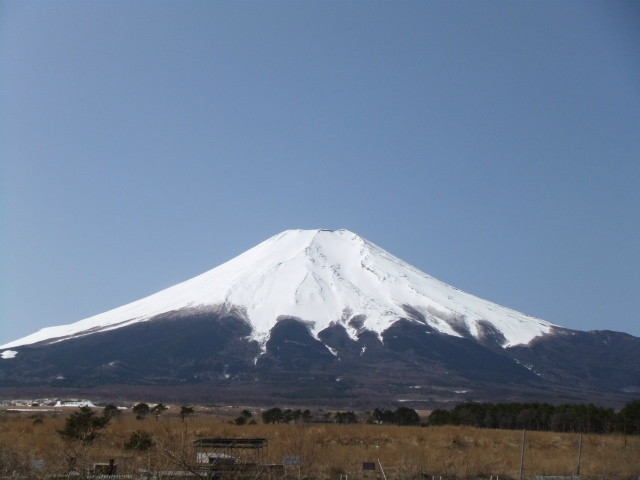 b0070657_15565225.jpg
