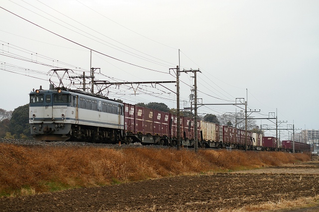 b0002858_1195681.jpg