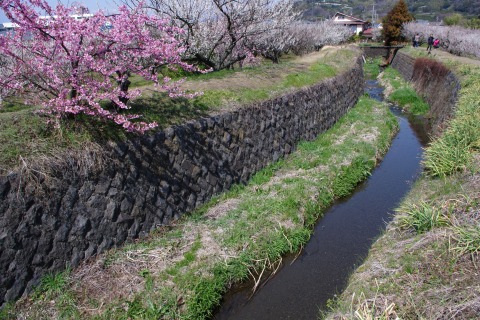 e0045768_21445843.jpg
