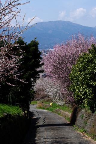 e0045768_21455738.jpg