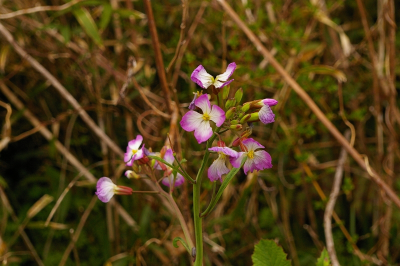d0031171_17235019.jpg