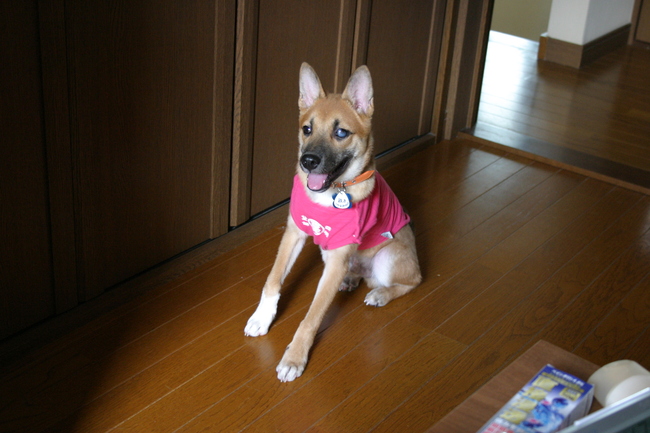 b0246876_044248.jpg