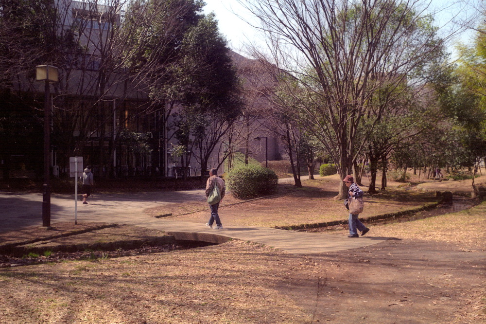 f0167482_215005.jpg
