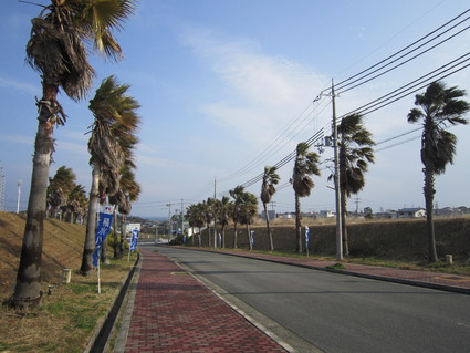f0053885_20571356.jpg