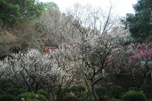 c0129498_0113115.jpg
